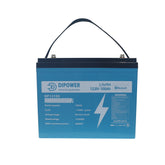 Hot Sales Portable Lifepo4 battery 12v 24v 100ah rechargeable Lithium ion Lifepo4 batteries